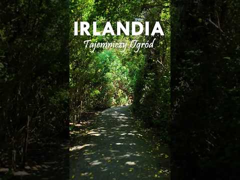 Niezwykłe miejsca w Irlandii #1  #podróże #irlandia #vlogpodróżniczy