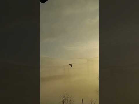 "Golden rays peeking through the clouds—where light meets mystery. ☀️☁️ #MorningMagic"