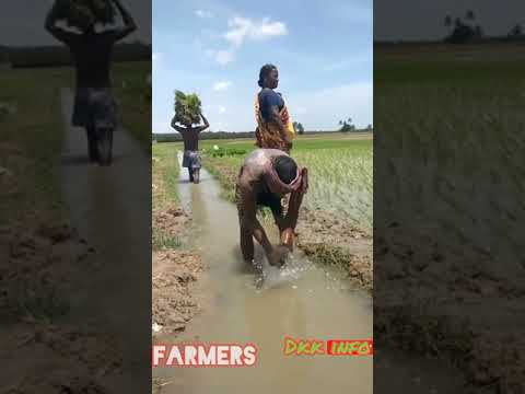 விவசாயி உங்கள் நண்பன்