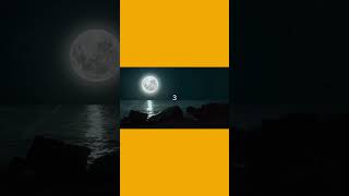 What inspires your creativity?#creativewriting #orangebonobo #boostcreativity #writing