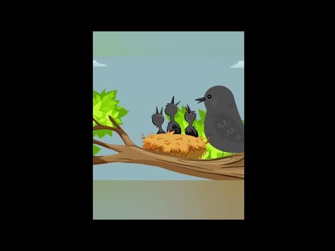 🕊️ Allah Hoo Allah Hoo,  Chirya Boli Chu ChuChu,, Chirya boli choo cho,چڑیا بولی۔,गौरैया बोली