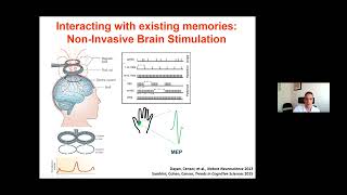 Prof Nitzan Censor on "Rapid learning (and unlearning) in the human brain"