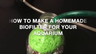 How to Make a Homemade Biofilter For Your Aquarium