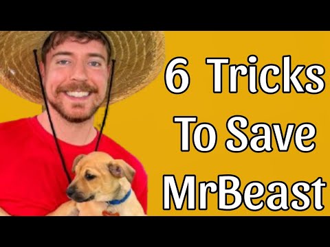 6 Genius Hacks to Defend MrBeast from Wild Allegations... But Seriously, Don't!