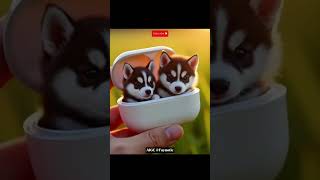 AIGC #ai #edit #3d #aigc #funny #kitten #cat #ie3d #short #blue #cute #cutecat