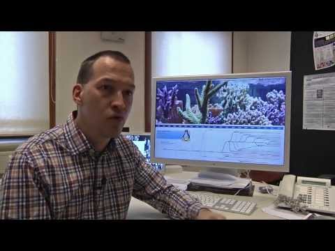 ECOS: Ecological Studies of Open source Software Ecosystems