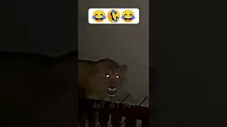 Is This Real?🤣 #Funny #Comedy #Gaming #Fails #EpicFails #HackerFails  #Games #Fun #WeirdVideos