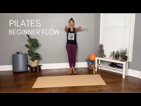 Beginner Flow with wall work warm up