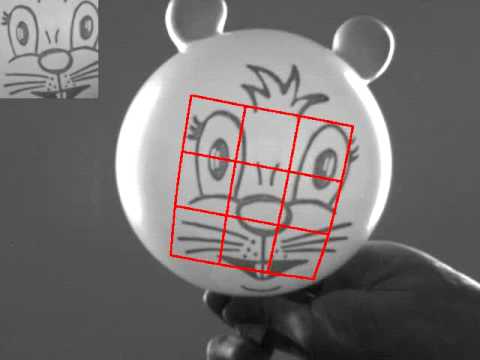 Visual tracking of rigid and deformable objects