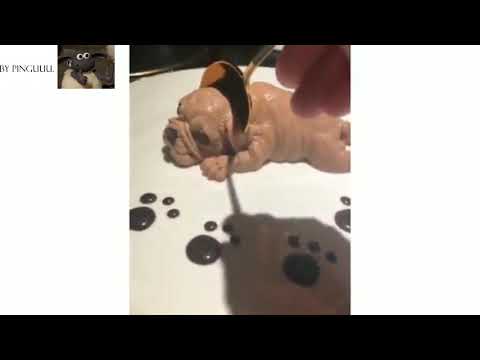 iPhone Memes | Shot on iPhone meme by Pinguuu | Funny Videos | Short and Funny Videos