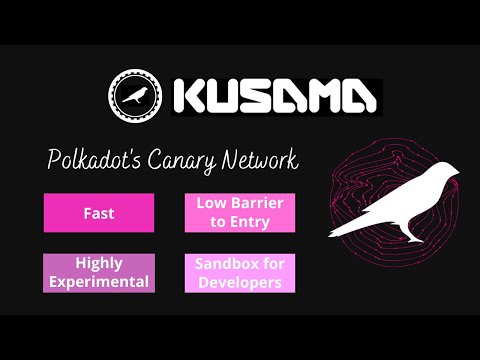 Kusama- Polkadot's Canary Network