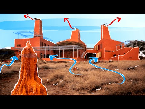 The Powerful Cooling Technique We Learned From Termites