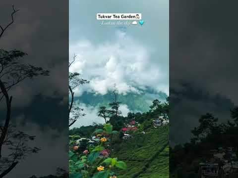 #trending #travel #odisha #teagarden #hyderabad