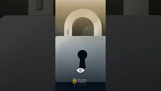 Digital Wealth  | Panama Vaults