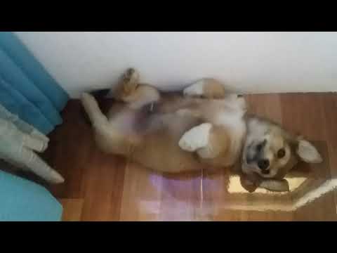 Kakaiba Matulog si MIKMIK