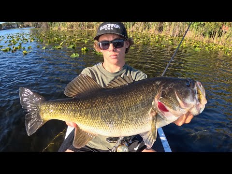 Fishing With My Favorite Swimbait