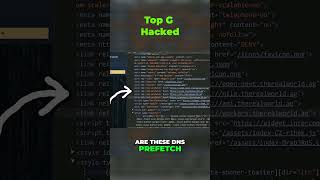 Unmasking Tate Terminal: AI-Driven Tech Stack Revealed