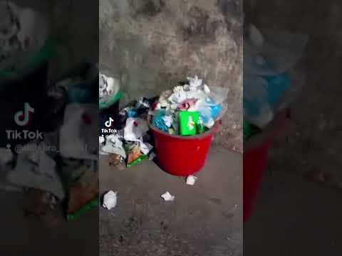 #AkibBro #বাংগালী #আমরা #বুঝোনি_মামুনি_এমনই #viralvideo #trending #Shorts #love