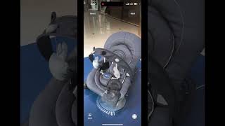 Real-Time 3D Scanning Tutorial & AR QR Code Integration for Businesses | ar-code.com