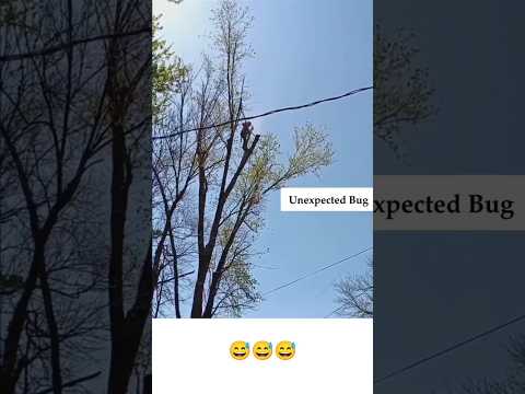 unexpected Bug😂#funny #shorts #programming#viralvideo