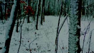 Nuclear Winter - Music to chill to