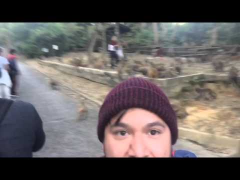 Hong Kong Adventures: Part 5