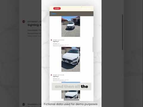 Efficient Parking Enforcement: Streamlining Vehicle Ticketing