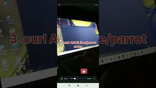 cmd hack parrots dance 🤯|terminal hack #tech #shorts #cmd#shortvideo
