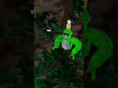 Story time #gorillatag #gtag #helpmemakethismakesense #ytshorts #fypシ゚viral #story #storytime
