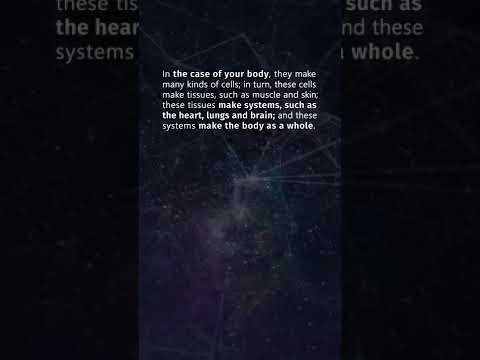 Does free will exist?