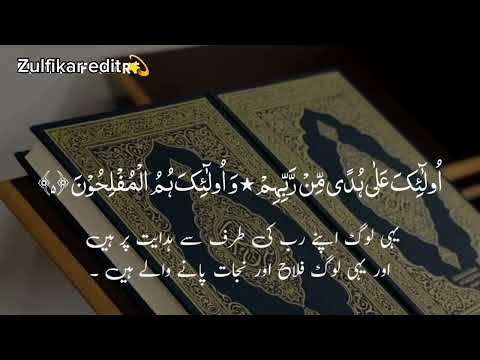 Surah Al-Baqarah | RUKU NO. 1 | URDU TARJUMA | BEAUTIFUL VOICE | PEACE OF HEART