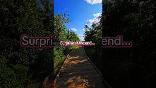 Did you guess the surprise?  #nationalpark #wildlifewatching #americannature