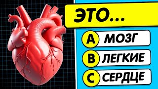 🧠 Human Body Quiz! 🧍💪🧬 General Knowledge Quiz 😏