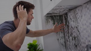 🌿 Mold Free Living Prevention Strategies by The Flood Company | Tips for a Healthier Home 🏠🛠️