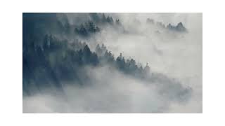 In a Minute - Harmonize your life