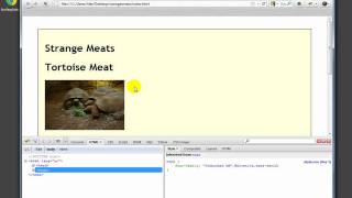 CSS Images