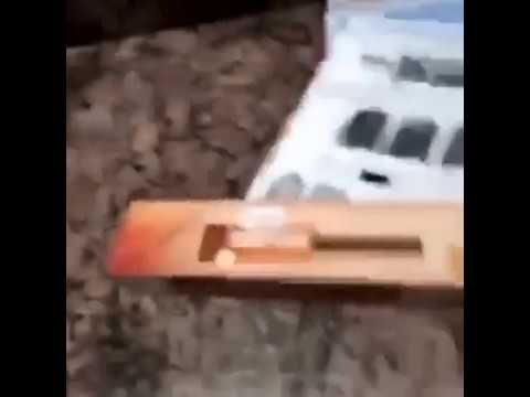 this nigga eats whole wheat spaghetti pasta