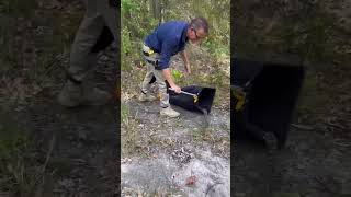Removing a Python from Inside #wildlifecatcher #rescue