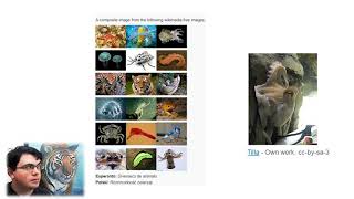 Data dredging: psychic octopuses or drug discovery?