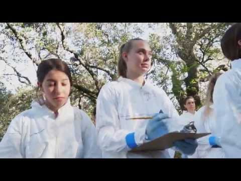 Teaching in the Field: Biology at Jasper Ridge