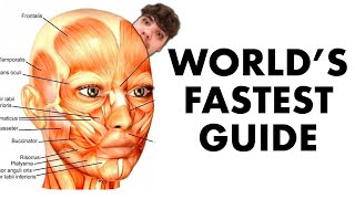 How to reduce your ugliness by 70% (in 61 seconds)