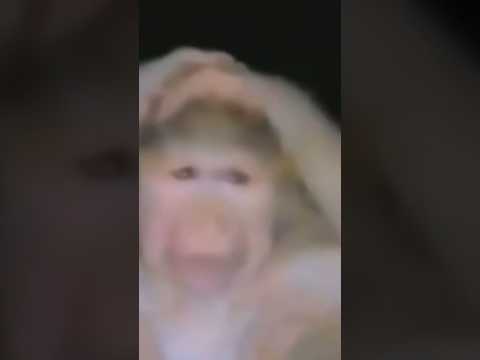 Liturally a zombie apocalypse😐 #minecraft #meme