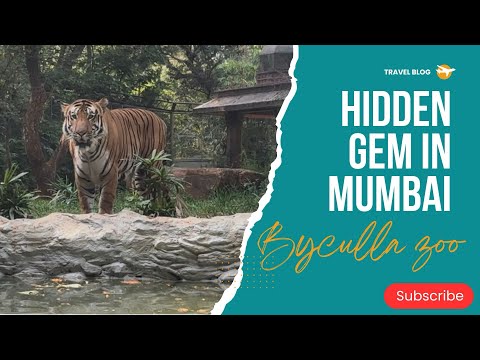Hidden Gem in Mumbai | Must-Visit Weekend Spot with Family & Friends