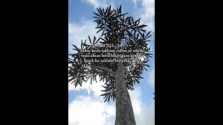 IMAM ALI ع SAYS ✨ #urduliterature #islam  #urduquotes #urdudesign #urduqoutes #urdupoetrylines