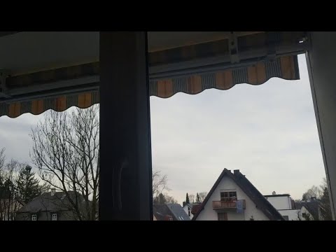 VID_20191216_100055