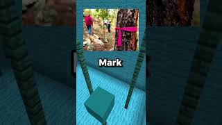 Surviving Extreme Situations: Protecting Your Data with a VPN!