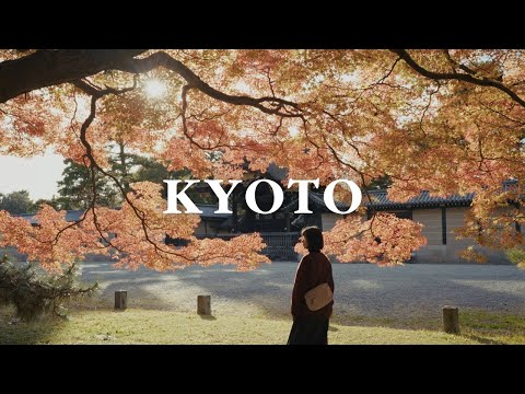 Enjoy Autumn Leaves in #kyoto without Crowds 🍁 | Japan Travel Vlog