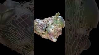 My first GeoNode Animation 🐵 #blender3d #blenderrender #geometrynode