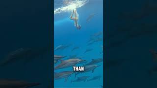Sloths Can Hold Their Breath Longer Than Dolphins #short #fact #quickfacts #quickmind