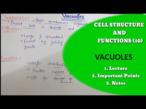 MDCAT Biology unit 3 | Vacuoles | MDCAT 2023 | Biology 1st year | The Cell